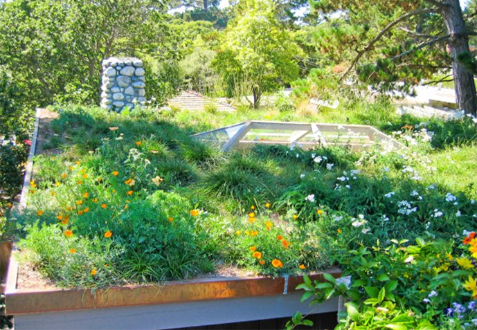 Living Architecture - Rooftop Green Roof